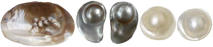 kamienie-organiczne-zdjecie-nr-28-13-perla-blister